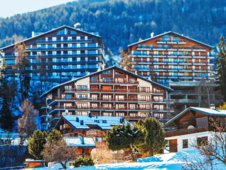 Quille du Diable 44, Appartement 4 personnes à Nendaz - Photo 32