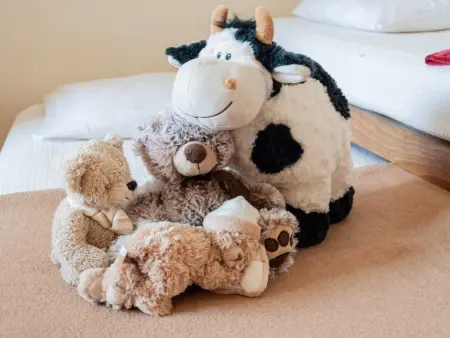 Rosablanche C64, Appartement 5 personnes à Siviez Nendaz - Photo 18