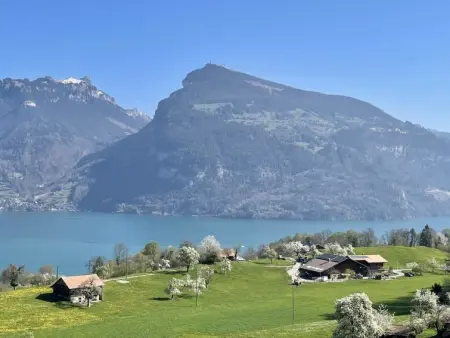 Panoramaferienwohnung Waldkircher, Appartement 2 personnes à Krattigen - Photo 1