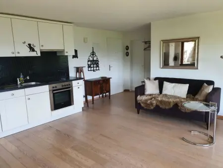 Panoramaferienwohnung Waldkircher, Appartement 2 personnes à Krattigen - Photo 7