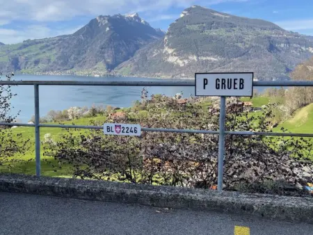 Panoramaferienwohnung Waldkircher, Appartement 2 personnes à Krattigen - Photo 18