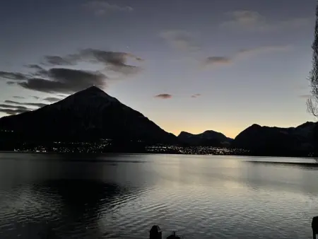 Panoramaferienwohnung Waldkircher, Appartement 2 personnes à Krattigen - Photo 20