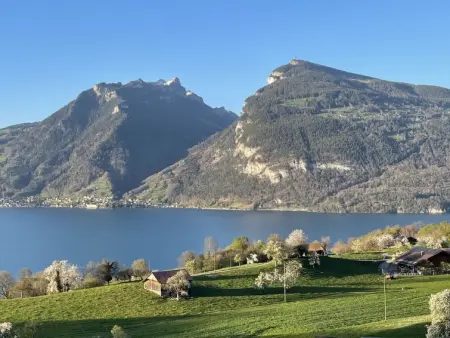Panoramaferienwohnung Waldkircher, Appartement 2 personnes à Krattigen - Photo 22