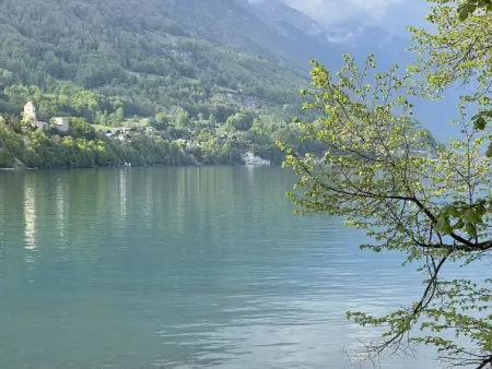 Panoramaferienwohnung Waldkircher, Appartement 2 personnes à Krattigen - Photo 28
