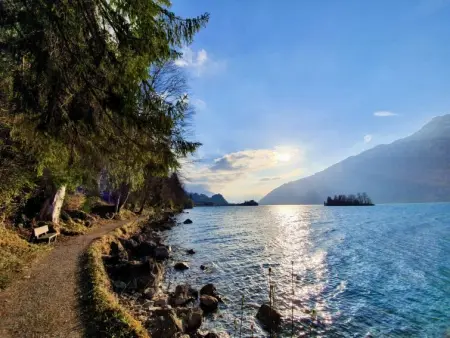 Panoramaferienwohnung Waldkircher, Appartement 2 personnes à Krattigen - Photo 30