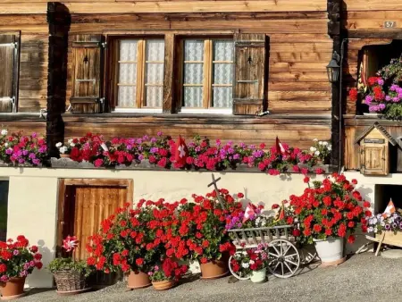 Panoramaferienwohnung Waldkircher, Appartement 2 personnes à Krattigen - Photo 34