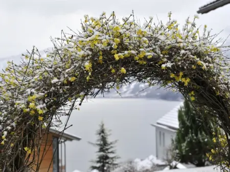 Villa Nora, Appartement 12 personnes à Faulensee - Photo 22
