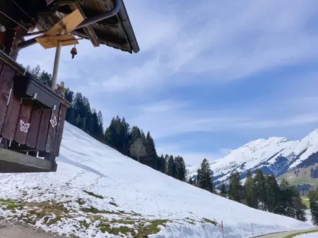 Grossen, Gite 6 personnes à Frutigen - Photo 21