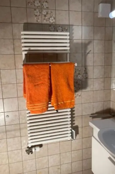 Studio Elsighorn, Appartement 2 personnes à Frutigen - Photo 8