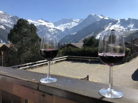 Sunnegruess, Appartement 4 personnes à Adelboden - Photo 1