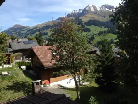 Sunnegruess, Appartement 4 personnes à Adelboden - Photo 6