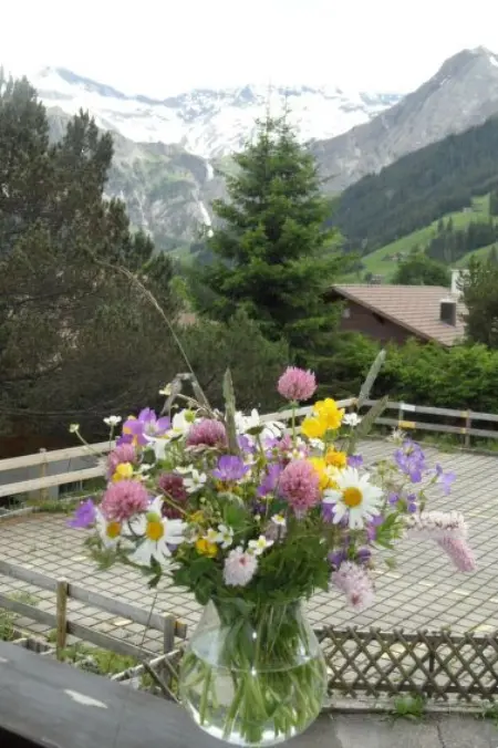 Sunnegruess, Appartement 4 personnes à Adelboden - Photo 9