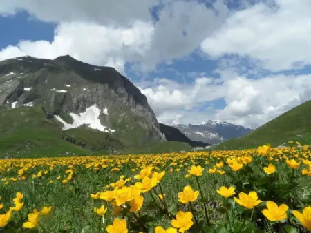 Sunnegruess, Appartement 4 personnes à Adelboden - Photo 15