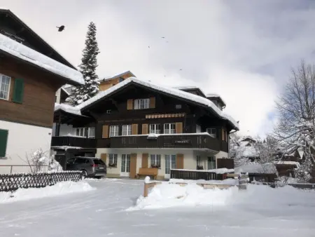 Sunnegruess, Appartement 4 personnes à Adelboden - Photo 20