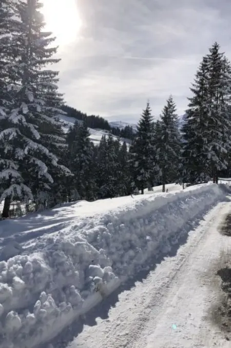 Sunnegruess, Appartement 4 personnes à Adelboden - Photo 24