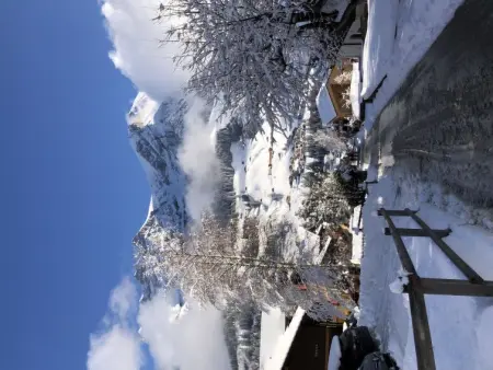 Sunnegruess, Appartement 4 personnes à Adelboden - Photo 26