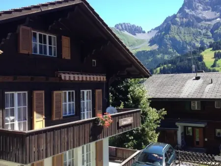 Sunnegruess, Appartement 4 personnes à Adelboden - Photo 29