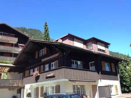Sunnegruess, Appartement 4 personnes à Adelboden - Photo 30