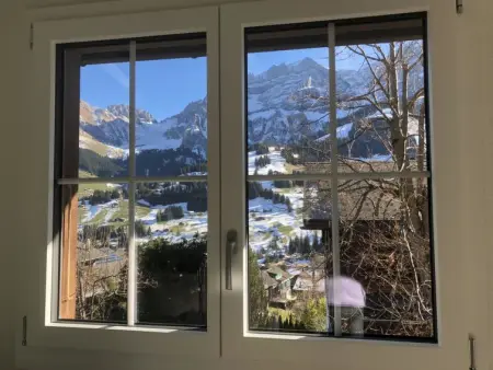 Sunnegruess, Appartement 4 personnes à Adelboden - Photo 34