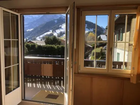 Sunnegruess, Appartement 4 personnes à Adelboden - Photo 43