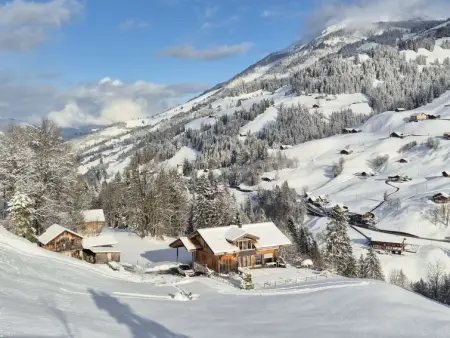 Anno Domini, Appartement 4 personnes à Adelboden - Photo 2