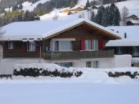 Aloa, Appartement 4 personnes à Adelboden - Photo 1