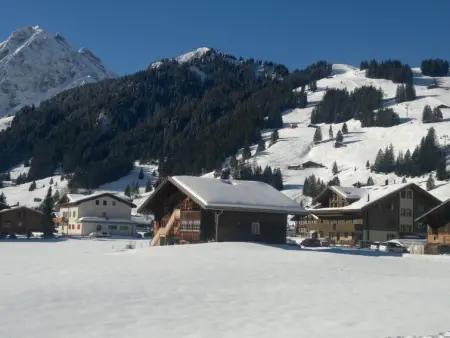 Aloa, Appartement 4 personnes à Adelboden - Photo 2