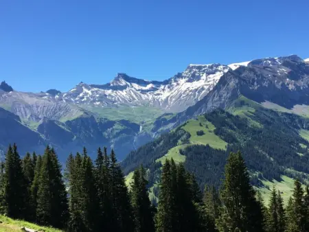 Aloa, Appartement 4 personnes à Adelboden - Photo 25