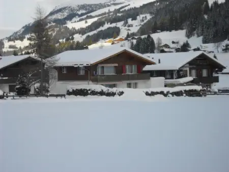 Aloa, Appartement 4 personnes à Adelboden - Photo 32