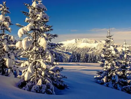 Aloa, Appartement 4 personnes à Adelboden - Photo 40