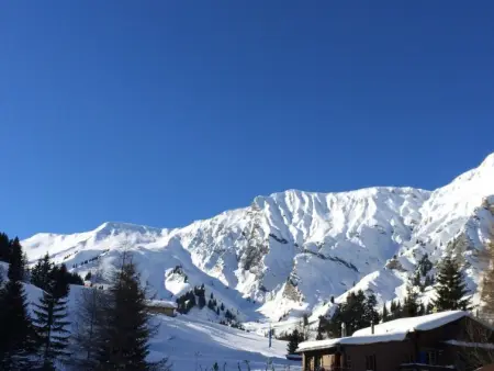 Aloa, Appartement 4 personnes à Adelboden - Photo 43