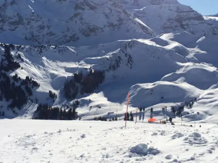 Aloa, Appartement 4 personnes à Adelboden - Photo 46