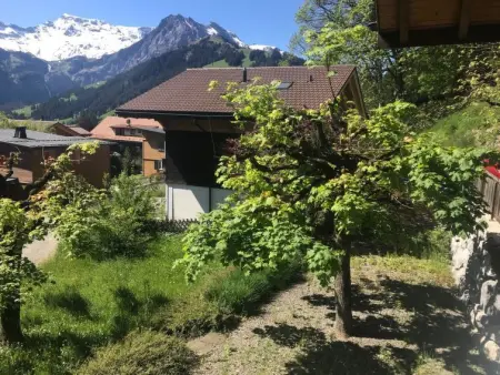 Haldematt, Appartement 6 personnes à Adelboden - Photo 2