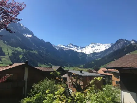 Haldematt, Appartement 6 personnes à Adelboden - Photo 3