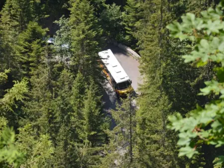 Chalet Zimmermann, Appartement 2 personnes à Kiental - Photo 10