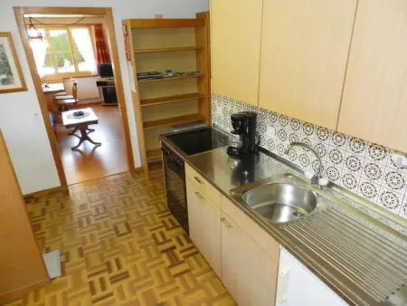 Bolgen, Appartement 4 personnes à Zweisimmen - Photo 19