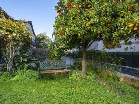 Maison Valensole, Maison 6 personnes à Cagnes sur Mer - Photo 18