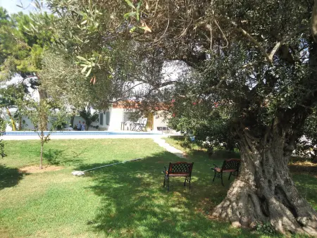 Charmant chalet à Peñiscola avec piscine privée et jardin - Photo 4