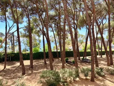 Appartement idéal, vue sur pinède et mer, proche plage - Photo 15
