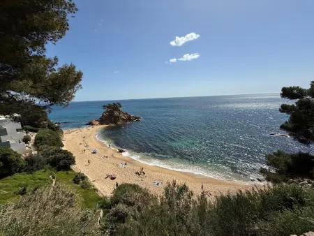 Appartement idéal, vue sur pinède et mer, proche plage - Photo 16