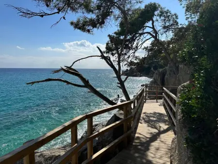 Appartement idéal, vue sur pinède et mer, proche plage - Photo 17
