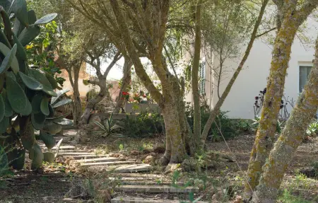 FAHRA, Maison 4 personnes à Ses Salines - Photo 13