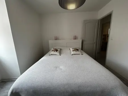 Maison 6 pers. au pied du donjon, jacuzzi et jardin à La Roche-Posay - Photo 16