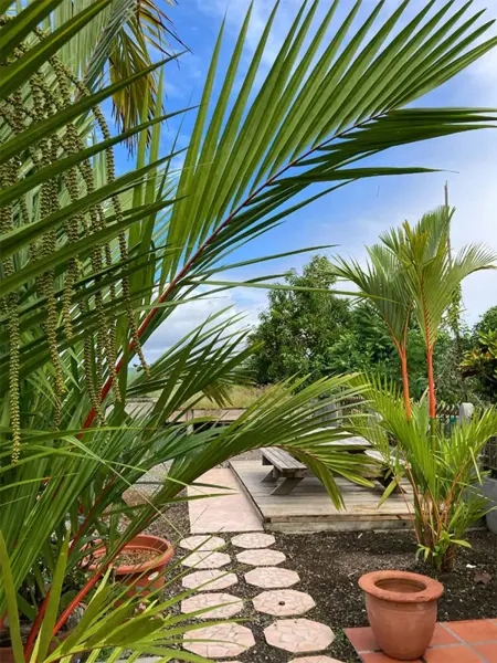 Villa avec piscine privée à Ducos, 200 m², Villa 8 personnes à Ducos - Photo 13