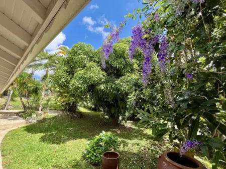 Villa avec piscine et climatisation - 8 pers., Villa 8 personnes à Le Marin - Photo 18