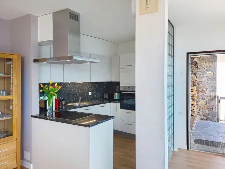 Apt. Tana dei Leoni, Appartement 4 personnes à Ronco sopra Ascona - Photo 1