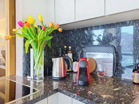 Apt. Tana dei Leoni, Appartement 4 personnes à Ronco sopra Ascona - Photo 7