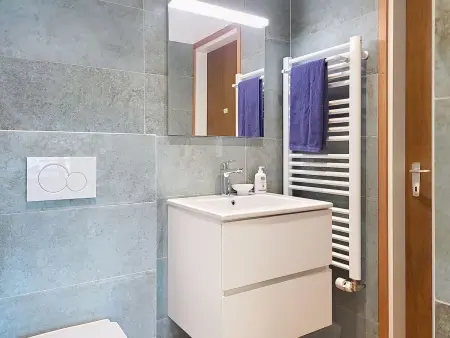 Apt. Tana dei Leoni, Appartement 4 personnes à Ronco sopra Ascona - Photo 28