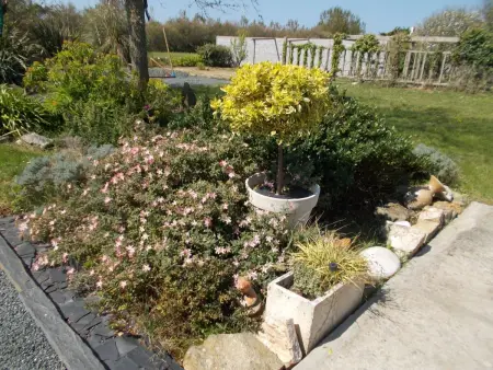 Bretonisches Ferienhaus in Meeresnähe mit Garten - Photo 31