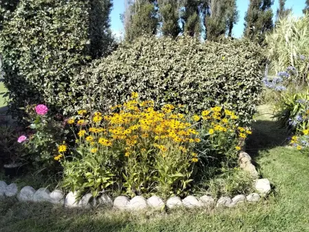 Bretonisches Ferienhaus in Meeresnähe mit Garten - Photo 35